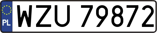 WZU79872