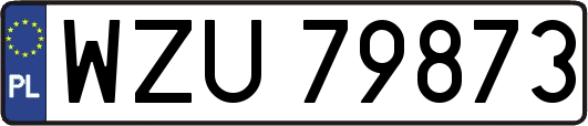 WZU79873