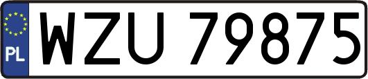 WZU79875