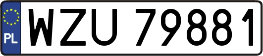 WZU79881