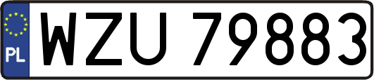 WZU79883