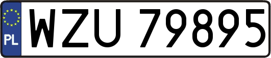 WZU79895