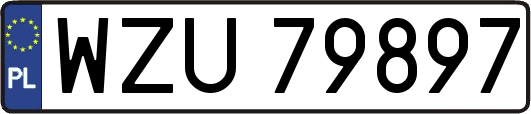 WZU79897