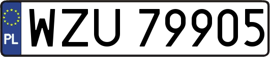 WZU79905