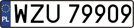 WZU79909