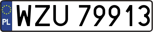 WZU79913