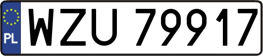 WZU79917