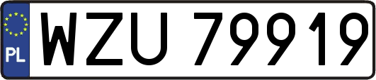 WZU79919