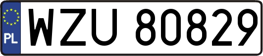 WZU80829