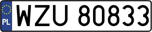 WZU80833