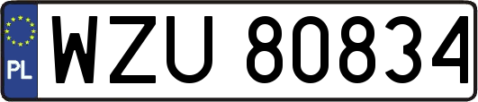 WZU80834