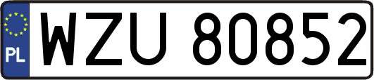 WZU80852