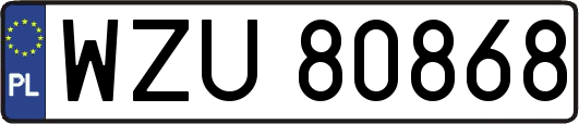 WZU80868