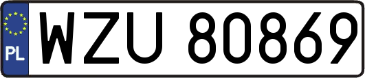WZU80869