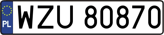 WZU80870
