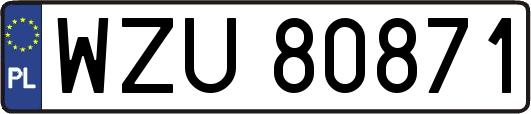 WZU80871