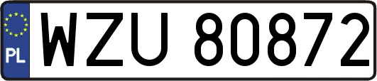 WZU80872