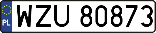 WZU80873