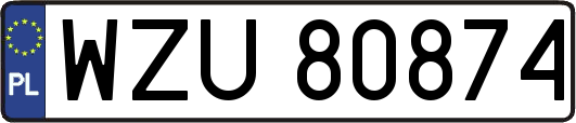 WZU80874