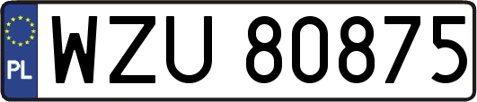 WZU80875