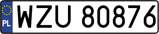 WZU80876