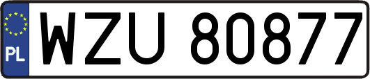 WZU80877