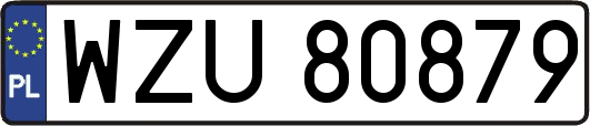 WZU80879