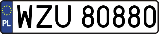 WZU80880