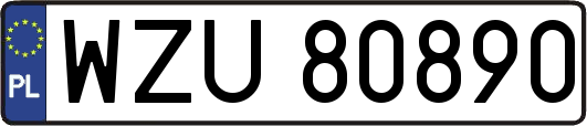 WZU80890