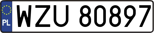 WZU80897