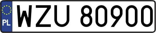 WZU80900