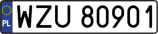 WZU80901