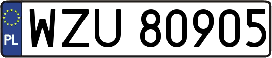 WZU80905