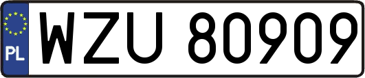 WZU80909