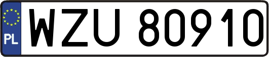 WZU80910