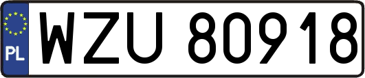 WZU80918