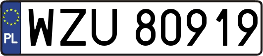 WZU80919