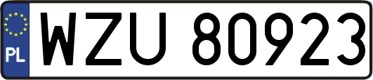 WZU80923