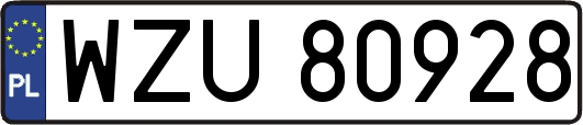 WZU80928