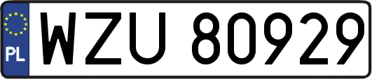 WZU80929
