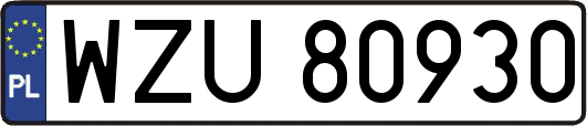 WZU80930