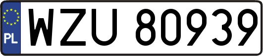 WZU80939