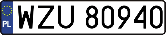 WZU80940