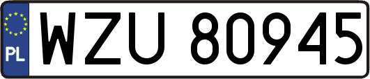 WZU80945