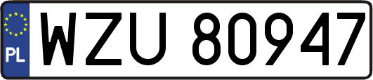 WZU80947