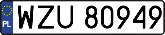 WZU80949