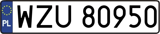WZU80950