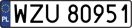 WZU80951