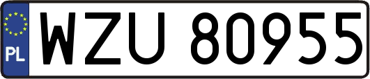 WZU80955