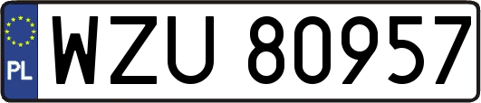 WZU80957